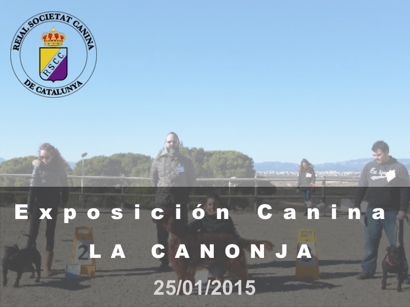 La Canonja 2015-01-25 (800x600) Cast